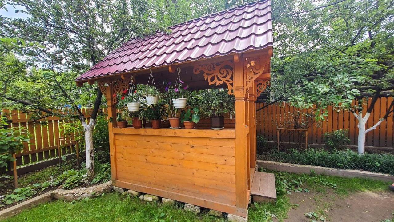 Приватна Садиба Vinemax Vorokhta Exterior foto